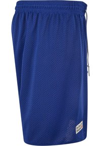 Blå mesh basketballshorts med elastisk midje, snøring og en etikett på nedre venstre side.