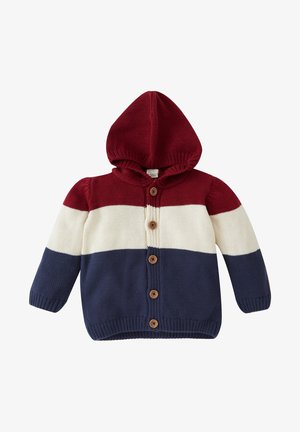 REGULAR FIT - Kardigan - bordeaux