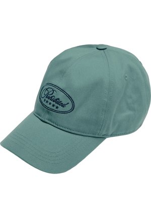 Jeune homme portant une casquette verte avec le texte "Chabilited" et des étoiles, chemise rayée à boutons par-dessus un t-shirt blanc, fond neutre.