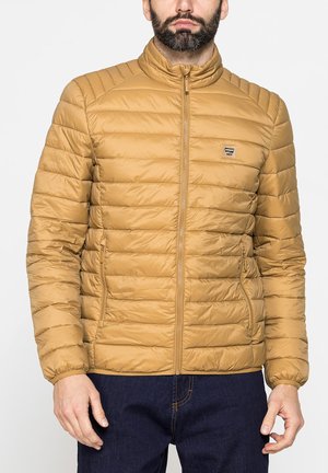 Carrera Jeans, ULTRALIGHT HIGH NECK 100GR - Giacca invernale - dijon mustard