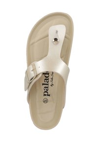 Light gold thong sandal with a smooth metallic strap, adjustable buckle, and a cushioned beige insole featuring logo text.