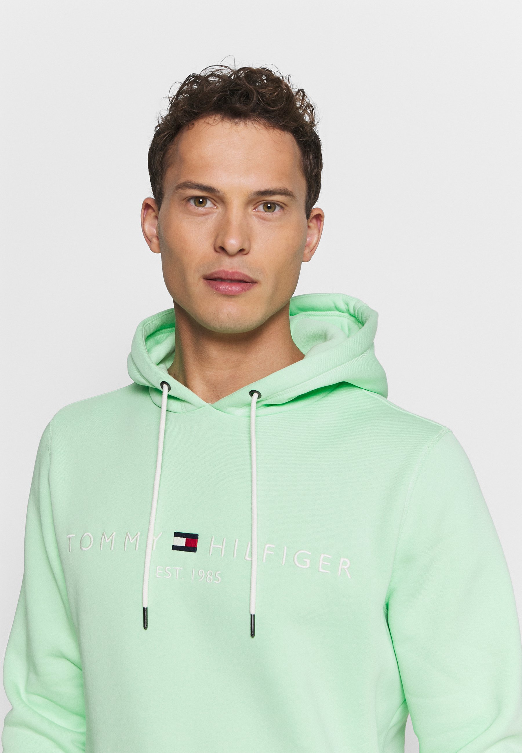 tommy hilfiger hoodie mint