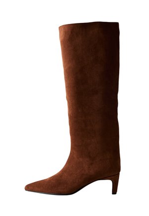 Stivale in suede marrone al ginocchio con punta affusolata e tacco triangolare basso. Texture liscia con un colore uniforme, senza motivi o accenti visibili.