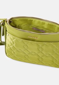 Borsa a tracolla verde trapuntata con una texture liscia, accessori dorati e chiusura con zip. L'interno presenta una fodera in satin coordinata.