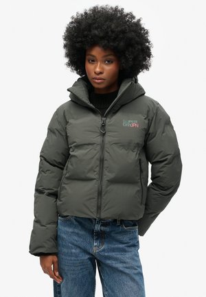 Superdry & Co HOODED BOXY PUFFER - Chaqueta de invierno - enamel green