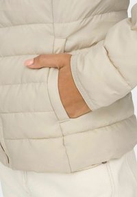 ONLY ONLNEWTAHOE QUILTED OTW - Giacca invernale - pumice stone