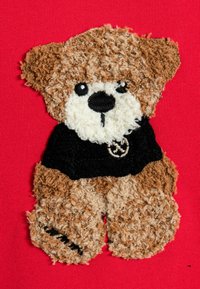 Aplicación de un oso de peluche marrón con un cuerpo texturizado y esponjoso, y un suéter negro, centrado en un fondo rojo. Detalles de ojos y nariz en negro.