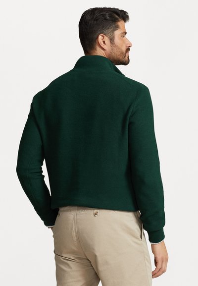 Polo Ralph Lauren Big & Tall QUARTER-ZIP JUMPER - Trui - moss agate