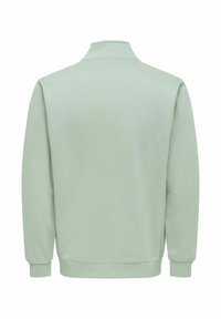 Lysegrøn sweatshirt med høj krave, lange ærmer og ribstrikkede manchetter. Fremstillet af blødt stof med en glat tekstur.