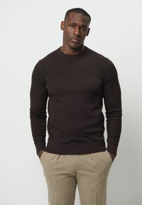PROFUOMO THE STRUCTURE BASIC CREW - Strickpullover - dark brown