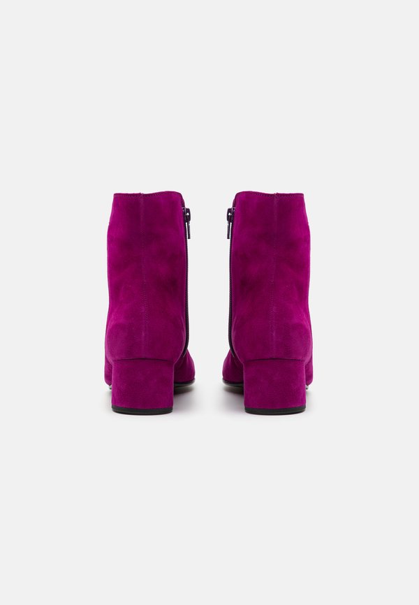 Classic ankle boots - orchid2
