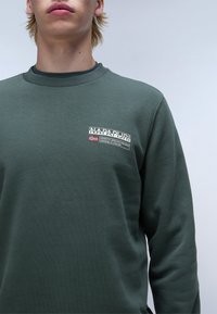 Donkergroen sweatshirt met ronde hals. Bevat een rechthoekig logo-opdruk met tekst en een vlaggenontwerp op de linkerborst. Zachte textuur.