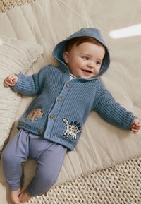 Cardigan bleu tricoté avec une capuche, orné d'écussons de dinosaures sur le devant. L'enfant porte un pantalon violet clair et est allongé sur une surface beige.
