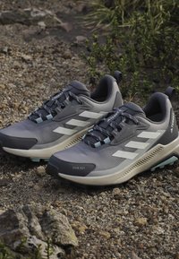 Chaussures de trail running Adidas Terrex gris et beige sur un sol rocheux avec des plantes vertes en arrière-plan.