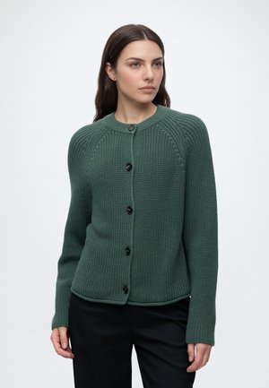 Donna con lunghi capelli scuri che indossa un cardigan verde lavorato a maglia con bottoni e pantaloni neri, in piedi davanti a uno sfondo bianco semplice.