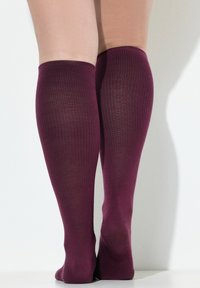 Piernas con calcetines de canalé burdeos hasta la rodilla de pie sobre los dedos en un fondo blanco y una pared.
