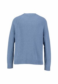 Helles blaues Sweatshirt mit rundem Halsausschnitt, gerippten Bündchen und Saum. Aus weichem, strukturiertem Stoff mit Raglanärmeln. Rückansicht gezeigt.