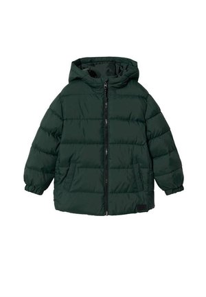 AMERICA - Vinterjakker - dark green