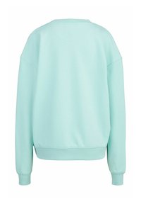 Mintgroene sweatshirt met een losse pasvorm, verlaagde schouders, ribgebreide manchetten en zoom. Soepele textuur, eenvoudige ontwerp zonder extra patronen.