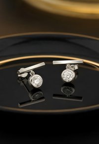 Silverörhängen med en rund diamantdetalj och en horisontell bårdform. Ytan är polerad, vilket reflekterar ljus mot en mörk bakgrund.