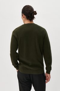 Olive green knitted sweater with a crew neckline, long sleeves, and ribbed cuffs, displayed from the back on a neutral background.