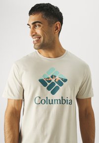 Columbia RAPID RIDGE™ GRAPHIC TEE - Apdrukāts T-krekls - dark stone