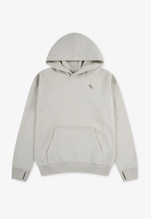 Abercrombie & Fitch, ESSENTIALS - Kapuzenpullover - pumice stone