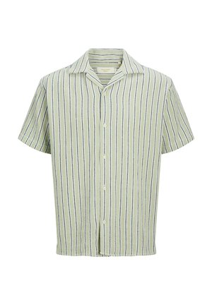 Lyhythihainen napillinen paita, jossa vaaleanvihreitä ja tummansinisiä pystysuoria raitoja sekä leikkimäinen kaulus.