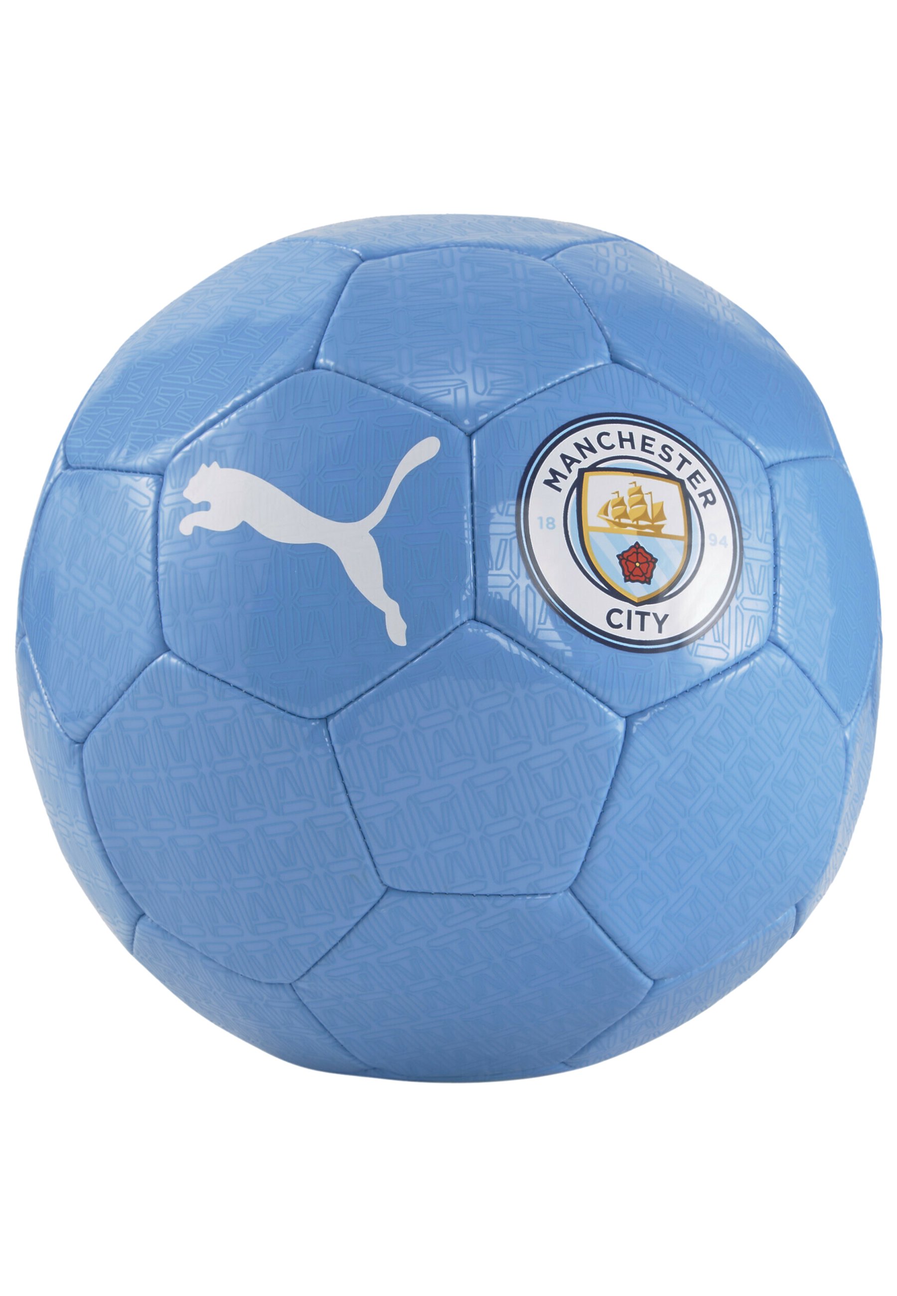 Puma FOOTBALL - Voetbal - team light blue puma white/Blauw - Zalando.nl
