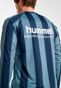 Blå och teal randig sporttröja med långa ärmar och texturerat tyg, med en vit "hummel PERFORMANCE"-logotyp på baksidan.