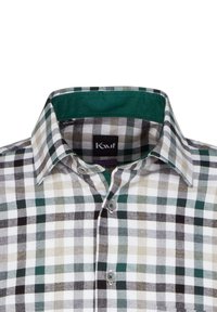 Camicia a quadretti verde, nera e bianca con colletto button-down. Materiale in cotone, vestibilità regolare, con interno del colletto a contrasto.