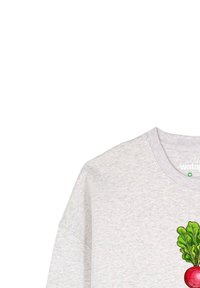 Hellegrauer Baumwollpullover mit Rundhalsausschnitt, der ein buntes Rettich-Design auf der Vorderseite aufweist. Weiche Textur und lockere Passform.