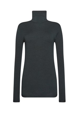 Maglione a collo alto grigio scuro realizzato in tessuto morbido a maglia, con maniche lunghe e silhouette aderente per un aspetto slanciato.
