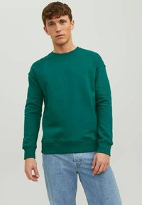 Felpa verde a girocollo realizzata in tessuto morbido, con maniche lunghe e orlo a costine. Indossata con jeans azzurri per un look casual.
