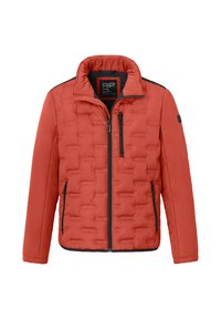 Redpoint PAD SPORTIVE MODERN-FIT Winterjacke terra nova/braun