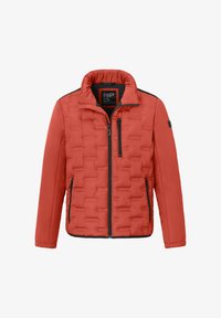 Redpoint PAD SPORTIVE MODERN-FIT Winterjacke terra nova/braun
