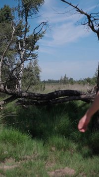 Del af en person, der går gennem høj græs nær en faldet gren med grønne træer og blå himmel i baggrunden.