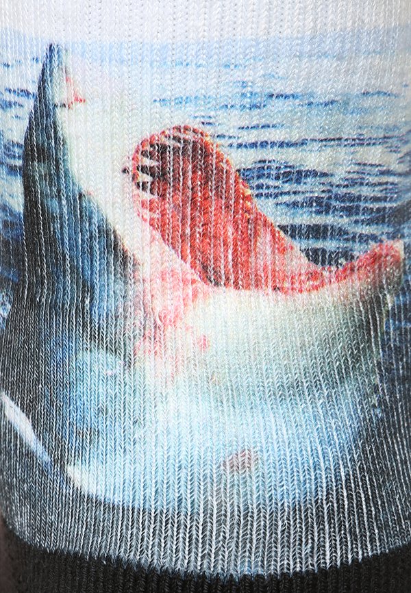 BLUE LANDLORD - Socks2