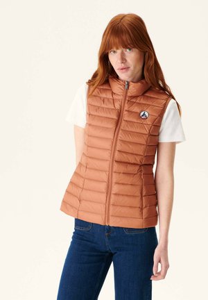 Sleek brown puffy vest with horizontal stitching, high collar, and front zipper, featuring a logo patch on the left chest. Worn over a white shirt.