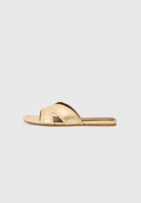 Seleccionado, gold