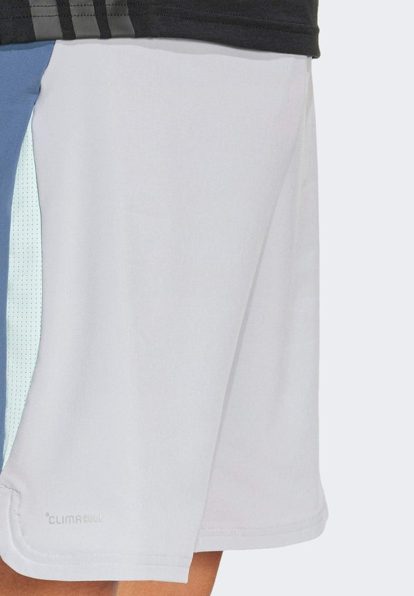 TECH APPAREL COLORBLOCK - Sports shorts - halo silver2