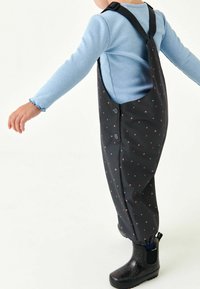 Next Regenbroek - grey