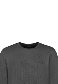 Cars Jeans SAMIE CREWNECK BOTTLE - Sweater - antra