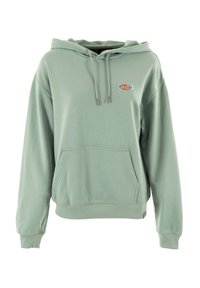 Sudadera verde con un bolsillo frontal, capucha con cordones y un pequeño logotipo bordado en el pecho. Fabricada en una tela suave con un corte holgado.