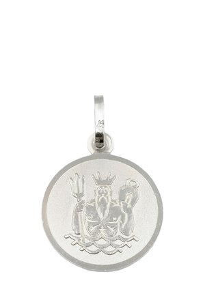 STERNZEICHEN WASSERMANN - Ciondolo - weissgold-coloured