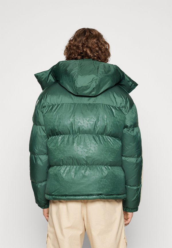 APPIANI PADDED JACKET - Winter jacket2