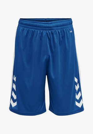 Blå sportsshorts lavet af et let materiale. Har hvide sidelapper med et zigzag-mønster og en elastisk talje.