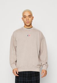 Tommy Jeans SKATER TIMELESS CREW - Mikina - brandons stone