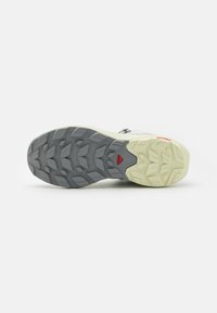 Salomon ELIXIR ACTIV MID GTX  - Pārgājienu apavi - glacier gray/aloe wash/magnet