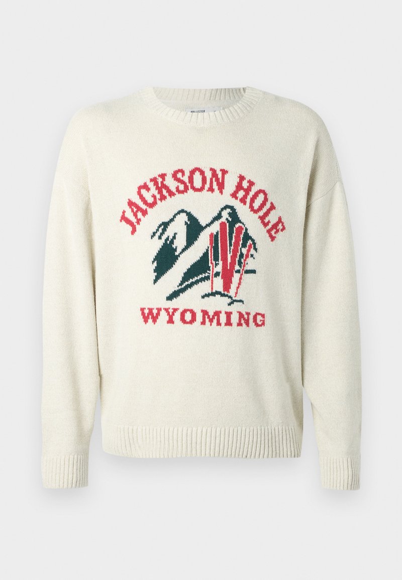 Hollister Co. Trui grijs